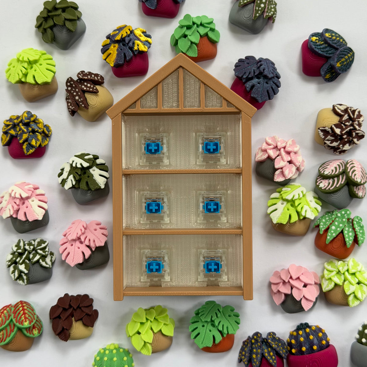 Build-your-own greenhouse fidget clicker - 6 slot