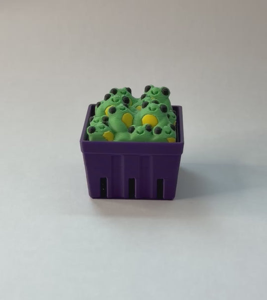 Box of frogs fidget clicker - Green